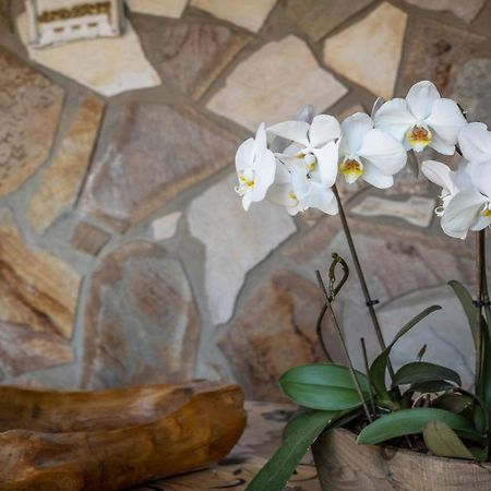 Ferienwohnung Insel ライヒェナウ エクステリア 写真