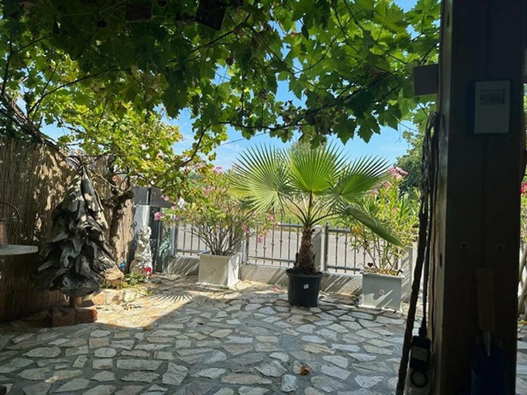 Ferienwohnung Insel ライヒェナウ エクステリア 写真